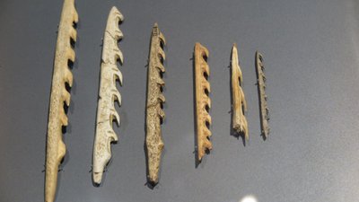 Harpunen im Museum Santander