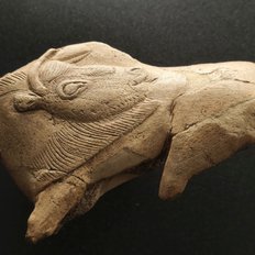 Bisondarstellung im Nationalmuseum für Vorgeschichte in Les Eyzies de Tayac