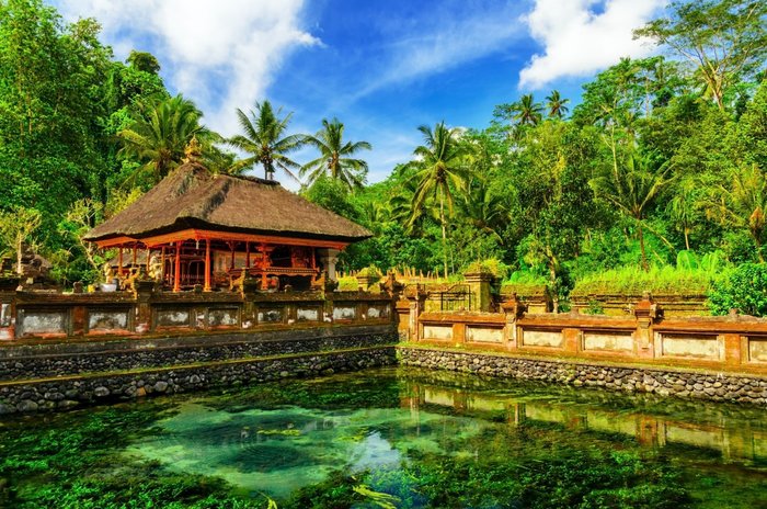 Bali Pura Tirta Empul, Quellen