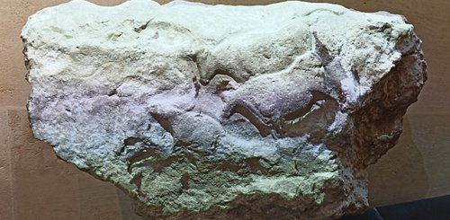 Musée Les Eyzies Auerochse Fourneau du Diable