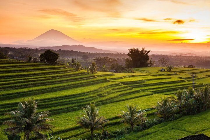 Reisfelder bei Munduk Jatiluwih