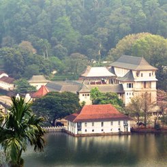 die Zeremonie am Zahntempel ist Ziel zahlreicher Pilger in Sri Lanka