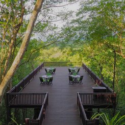 Essen umrahmt von Baumkronen - The Menjangan Bali