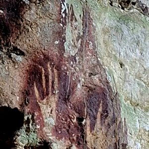 typische Handschablonen Sulawesi - hier sehr gut erkennbar die spitz zulaufenden Finger  in Leang Leang Marosregion bei Makassar