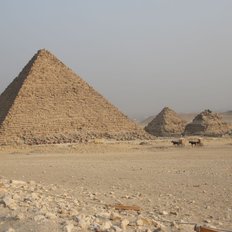 Giza 