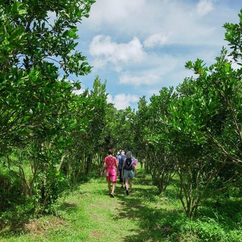 Bagus Agro Bali
