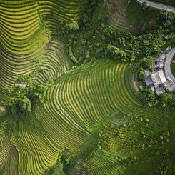 Topas Ecolodge Sapa  einzigartige Lage