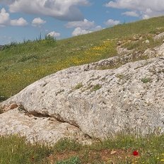 Frühlingslandschaft am Karahan Tepe Südostanatolien