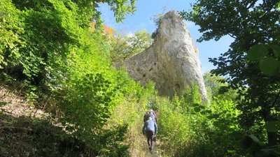 Stufen am Weg zum Geissenkloesterle Schwaebische Alb Achtal