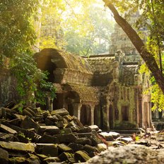Ta Phrom Tempel im Dschungel von  Kambodscha