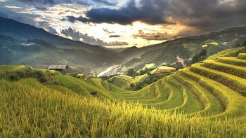Ha Giang Reisterrassen