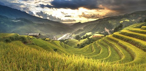 Ha Giang Reisterrassen