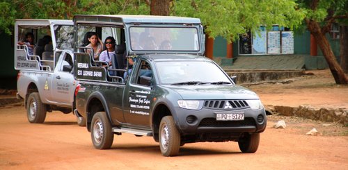 Jeepsafari im Yala Nationalpark