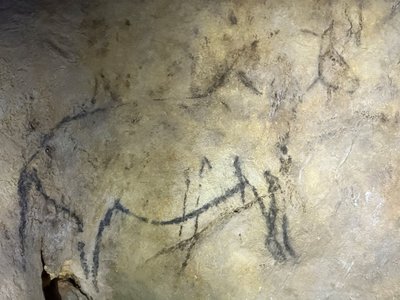 Ekain - eine Höhle mit zahlreichen Pferdedarstellungen in Nordspanien