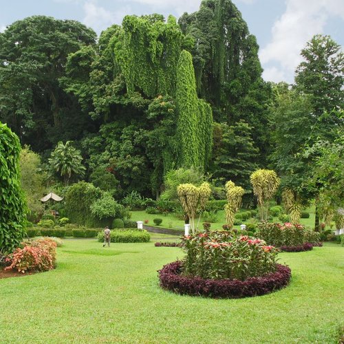 Königlicher Botanischer Garten Kandy 
