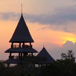 The Menjangan Bali 