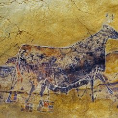 Höhle von Lascaux "Schwarze Kuh" - zu sehen beim Besuch von Lascaux IV während der Reise mit Zugvogeltouristik zu den steinzeitlichen Bilderhöhlen Frankreichs