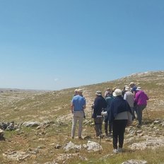 kleine Wanderung zur Ausgrabung