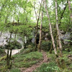 legendäre Fundorte, geschützte Überhänge und versteckte Höhlen - Abenteuer Archäologie! Mit Zugvogeltouristik unterwegs auf den Spuren der Altsteinzeit in Frankreich
