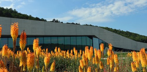 Lascaux IV