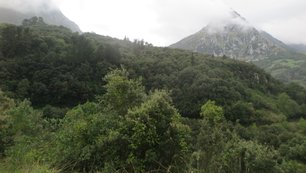 Covalanas Ausblick 