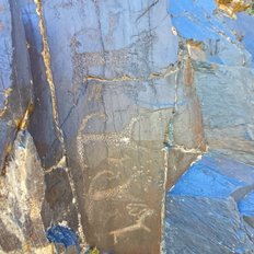 Petroglyphen in Sarmishosoy - auf der UNESCO Auswahlliste - vielfältige Felsritzungen zeugen von langer ritueller Nutzung - Jagdszenen, Pferde, Hirsche, Kamele, tanzende Menschen