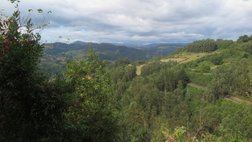 Ausblick über die asturische Landschaft von der Höhle Pena de Candamo