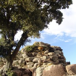 Nuraghe Sardinien