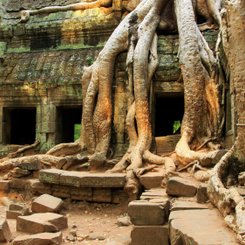 Ruinen in Angkor Kambodscha in Indochina Asien