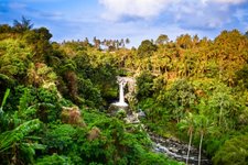 Bali Wasserfall