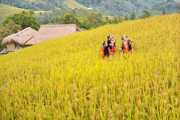 Nordvietnam wunderbare Naturlandschaft und ethnische Minderheiten