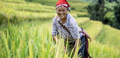 Topas Ecolodge Sapa  Wanderung