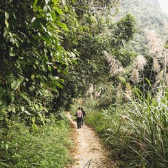 Heritage Line Ylang Ausflug Wanderung