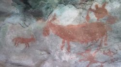 Sulawesi Insel Muna - Leang Metaduno und Leang Kabori unzählige Felsmalereien