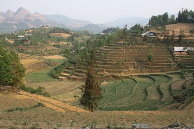 Landschaft im Norden Vietnams