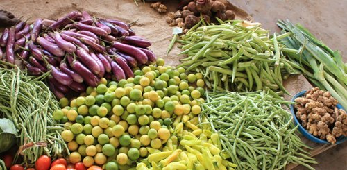 Jaffna Markt Norden Sri Lanka