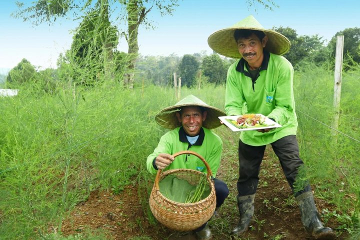 auf der Farm des Bagus Agro Bali