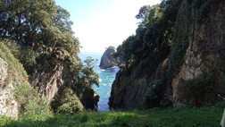 Ausblick vom Höhleneingang El Pindal