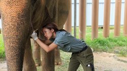 Elephant Hills Camp
