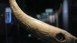Lochstab mit Hirschgravierung aus El Castillo im Museum Santander