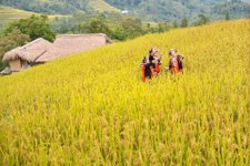 Nordvietnam wunderbare Naturlandschaft und ethnische Minderheiten