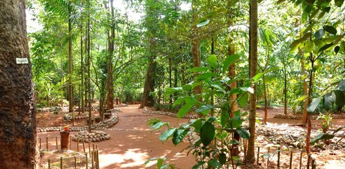 Gewürzgarten Matale