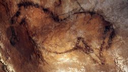 steinzeitliche Höhlenmalerei in Nordspanien Pferd in der Höhle von Candamo © Turismo Asturias Arnaud Spaeni