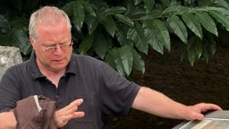 Ingmar Braun vor El Pendo Nordspanien