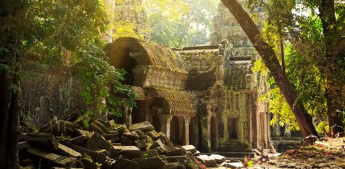 Ta Phrom Tempel im Dschungel von  Kambodscha
