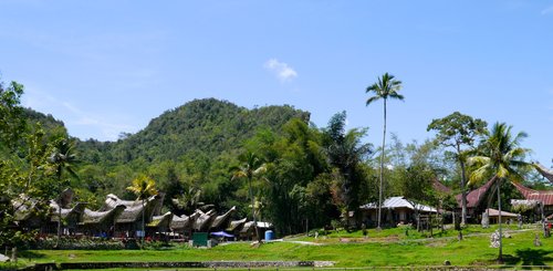Toraja Dorf mit traditionellen Tongkonanhäusern auf Sulawesi