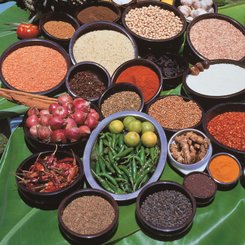 Gewürze sind ein unverzichtbarer Bestandteil des Essen in Sri Lanka