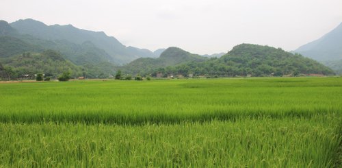 Little Sapa / Mai Chau Vietnam 