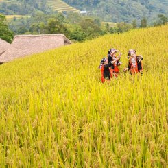 Nordvietnam wunderbare Naturlandschaft und ethnische Minderheiten