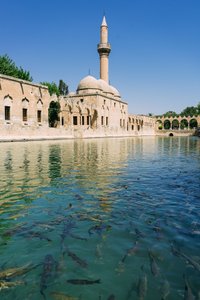 Abrahamsteich mit Moschee Sanliurfa